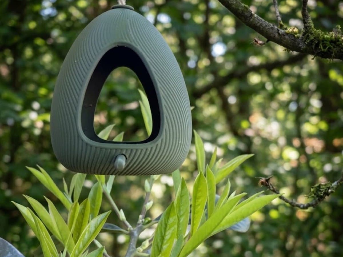 Mangeoire à oiseaux verte en forme de goutte, suspendue à une branche dans un jardin